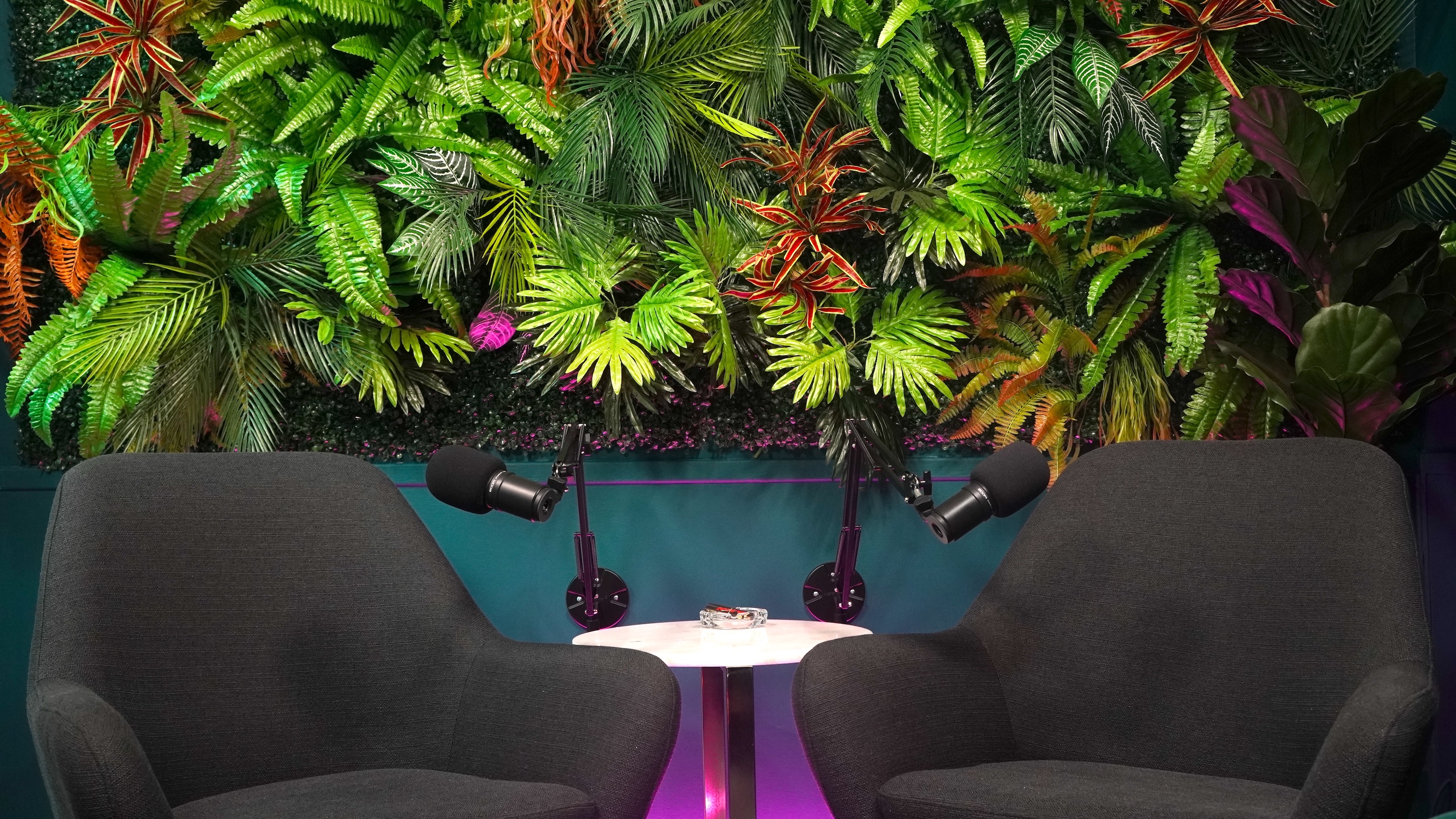 The Jungle Wall - Hero